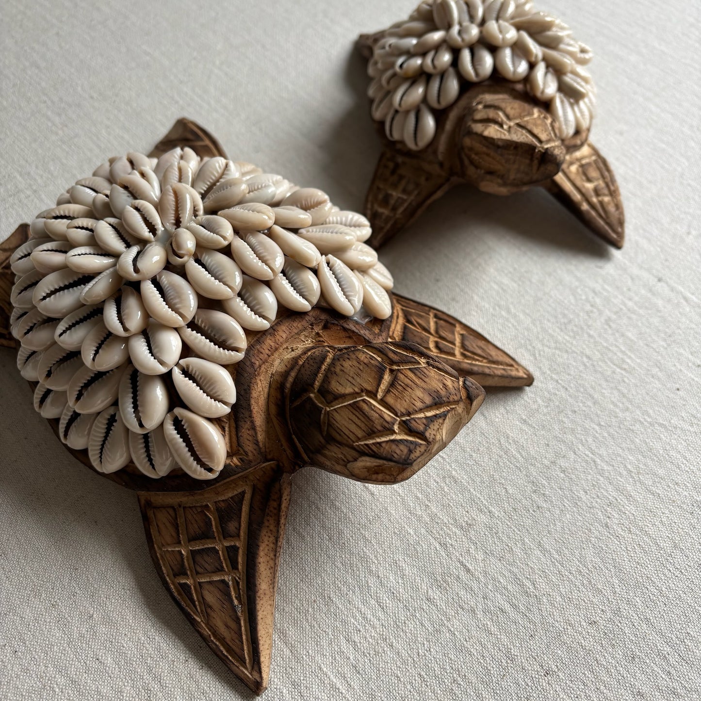 Houten Schildpad met Schelpen