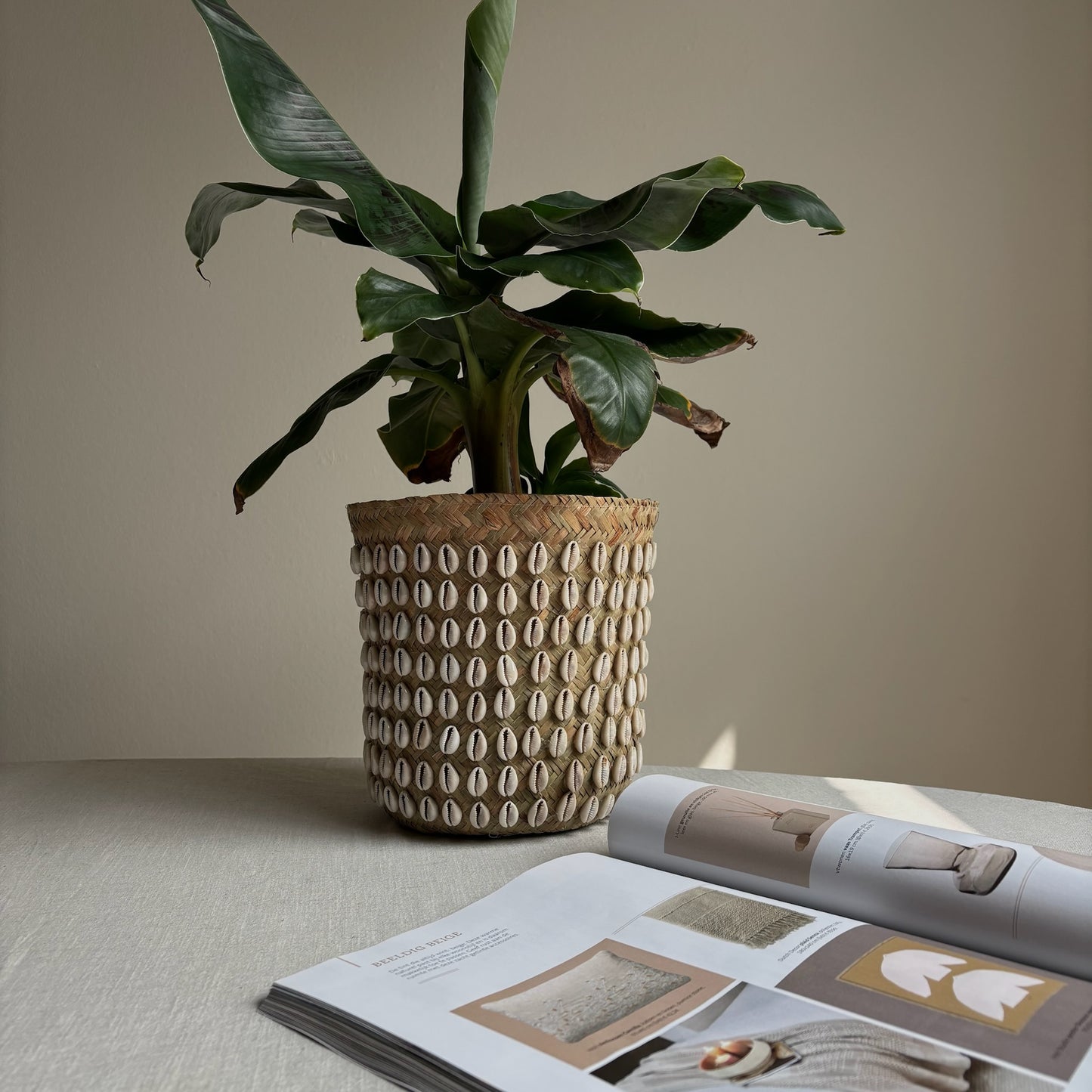 Pandan Mand met Schelpen