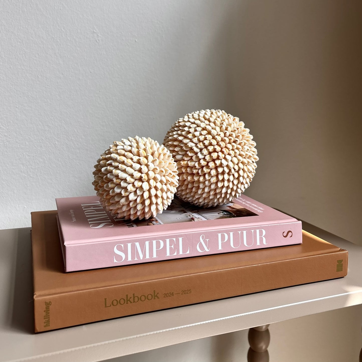 Decoratieve Schelpenbal