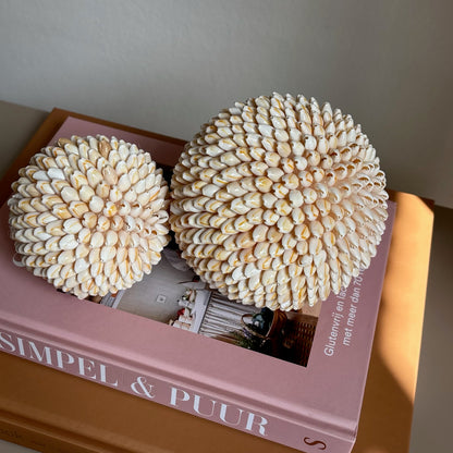 Decoratieve Schelpenbal