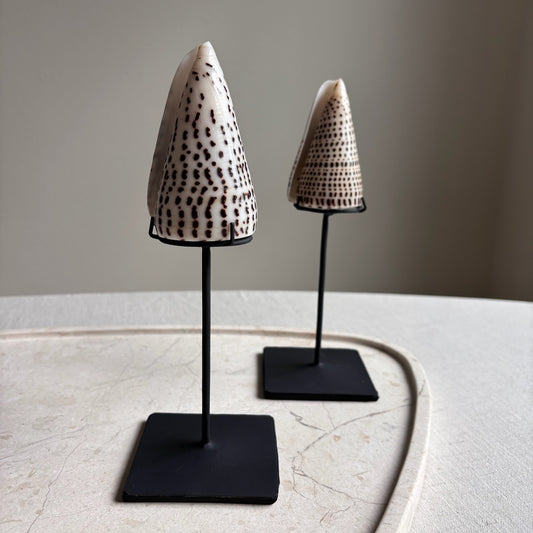 Schelp op Standaard Ayla